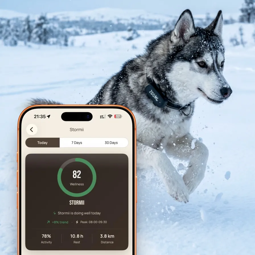 ZoomiTag Health smart pet tag