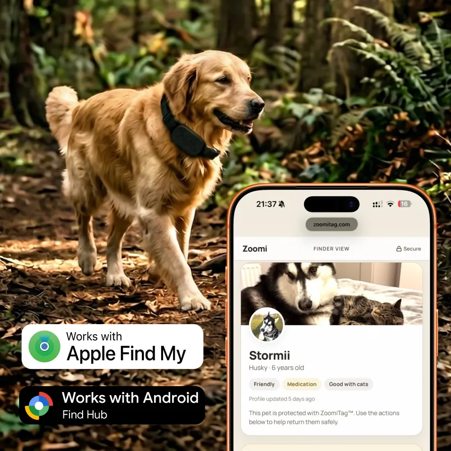 ZoomiTag Lite smart pet tag